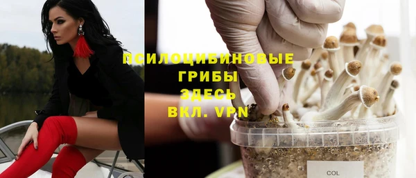 мяу мяу мука Алексеевка