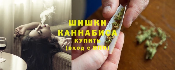 бошки Алексин