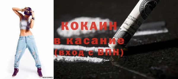 гидра Рославль