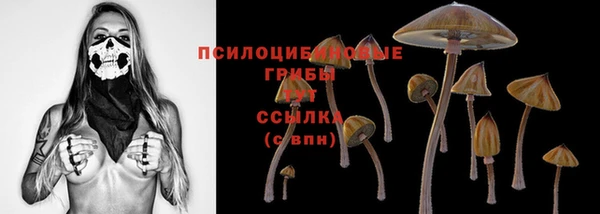 герыч Россошь