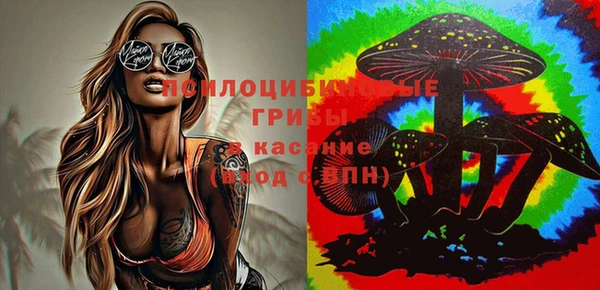 мяу мяу мука Алексеевка