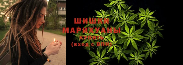 мяу мяу мука Алзамай